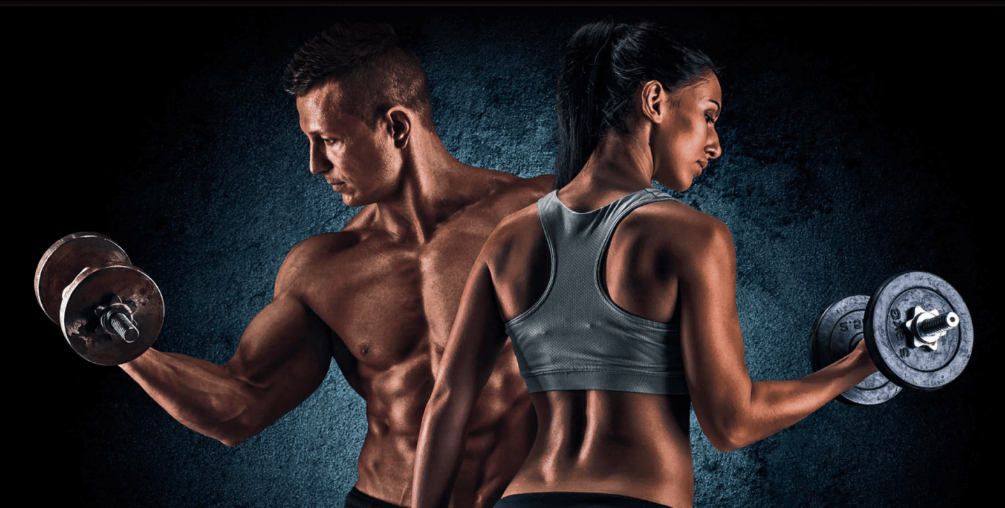 CoreFit Gym & Training Center Gym Main Models